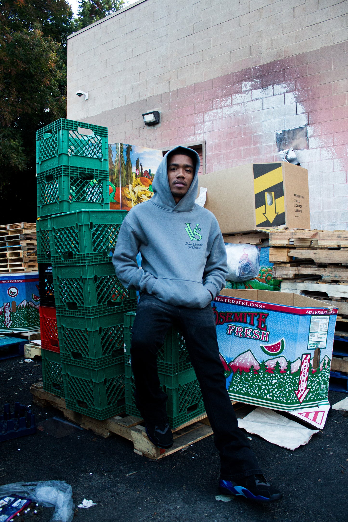 "Halloween" VVS Grey Hoodie